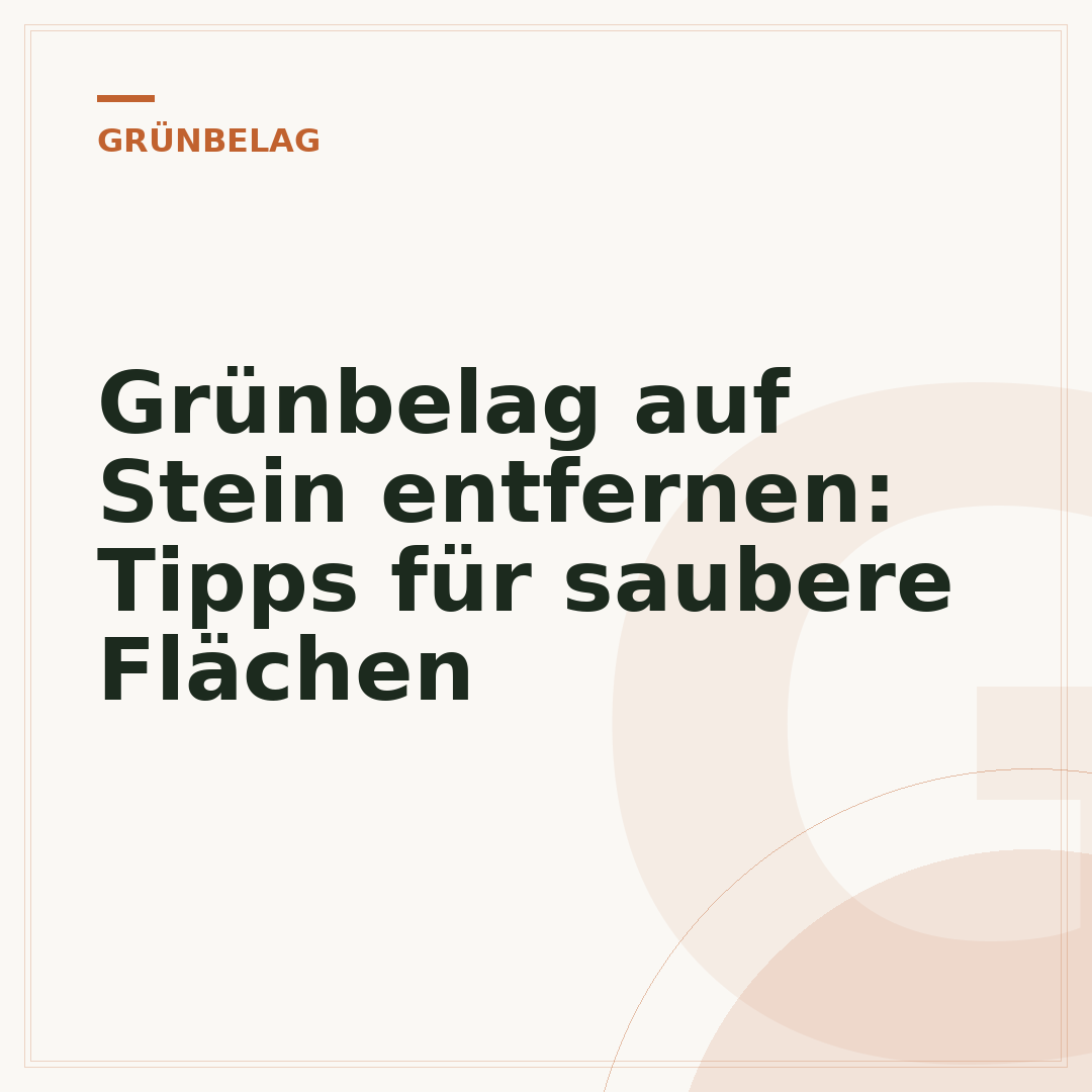 Grünbelag auf Stein entfernen: Tipps für saubere Flächen