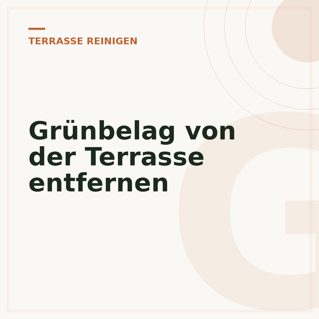 Grünbelag von der Terrasse entfernen