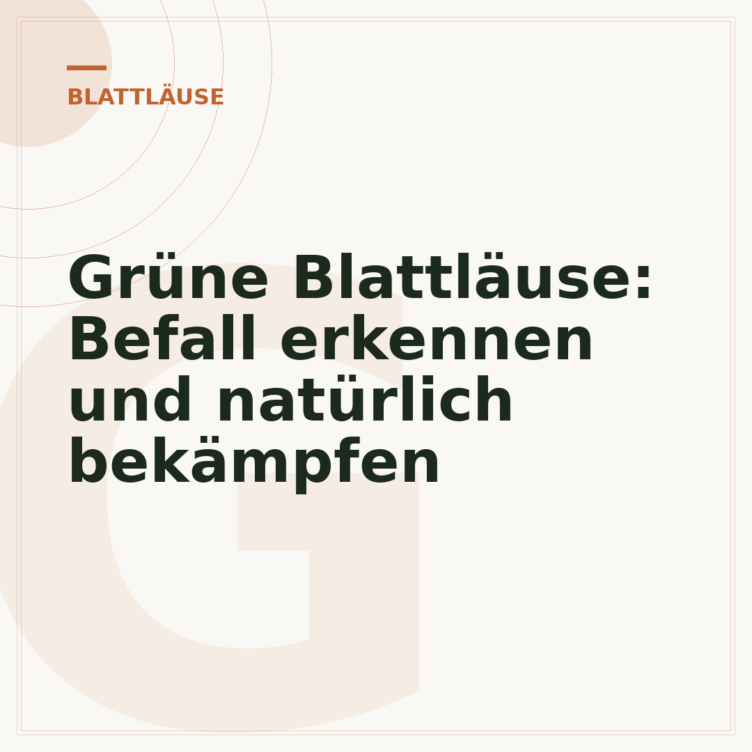 Grüne Blattläuse: Befall erkennen und natürlich bekämpfen