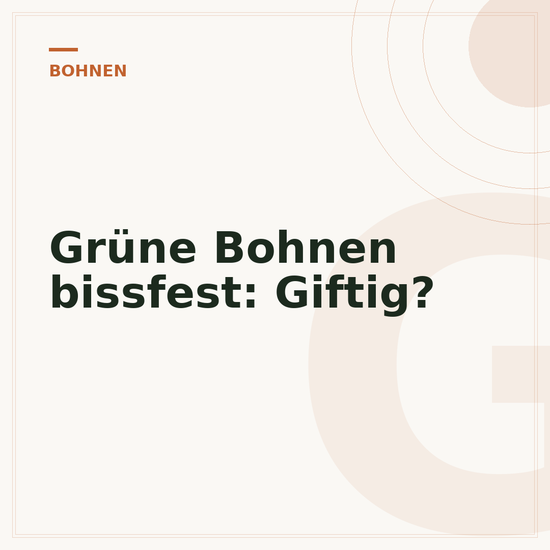 Grüne Bohnen bissfest: Giftig?