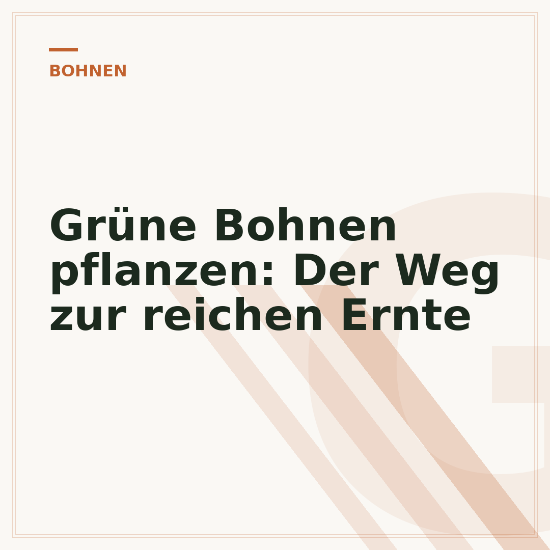 Grüne Bohnen pflanzen: Der Weg zur reichen Ernte