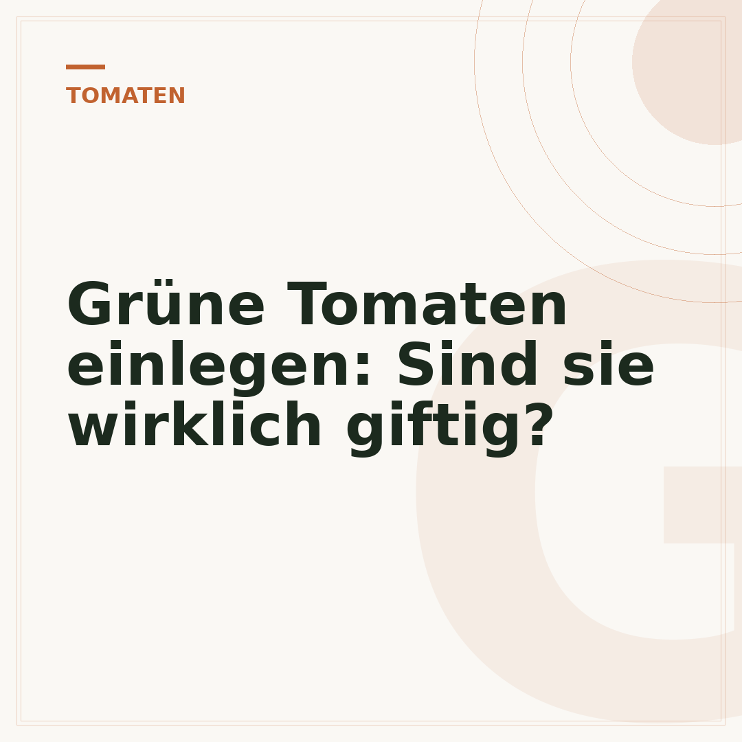Grüne Tomaten einlegen: Sind sie wirklich giftig?