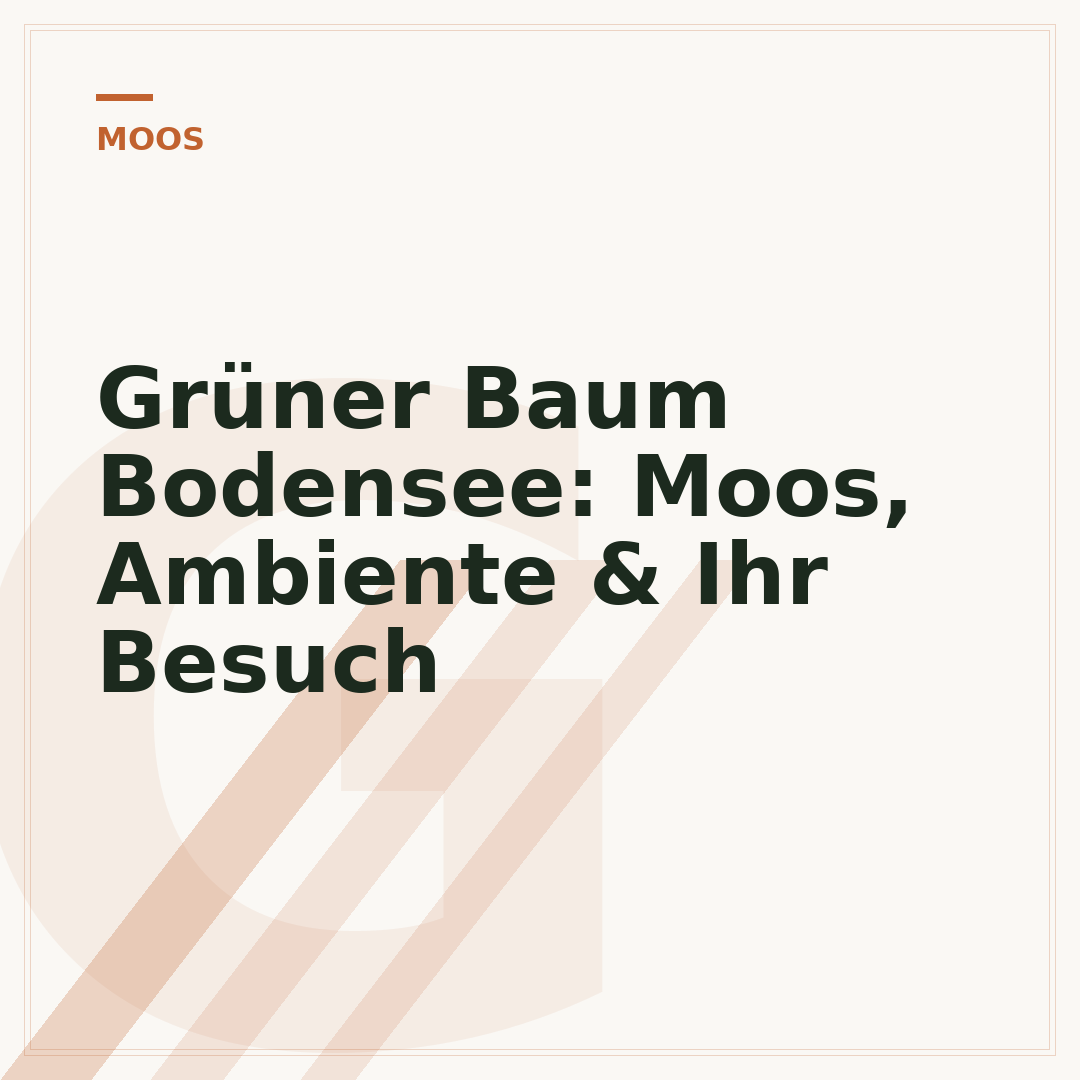 Grüner Baum Bodensee: Moos, Ambiente & Ihr Besuch