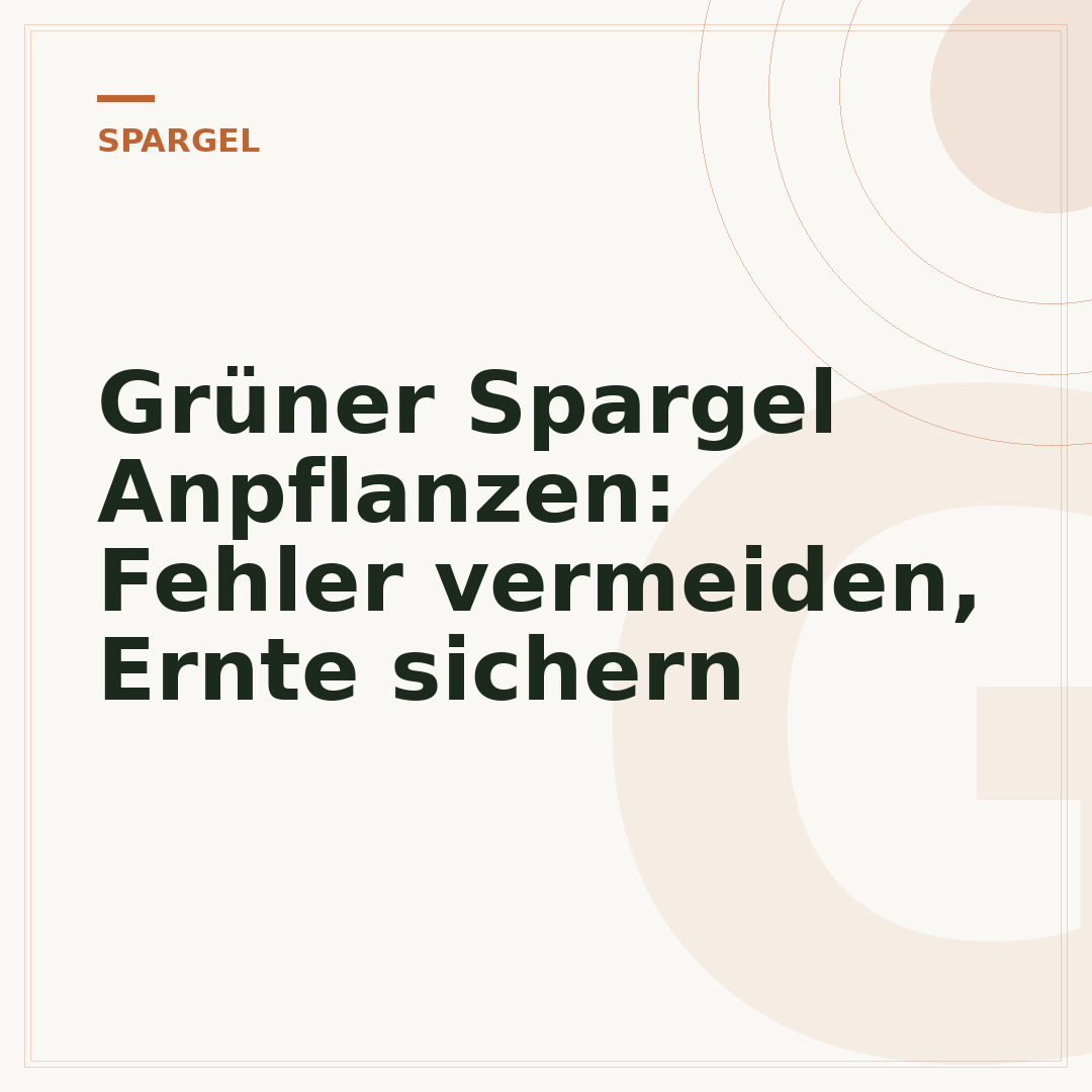 Grüner Spargel Anpflanzen: Fehler vermeiden, Ernte sichern