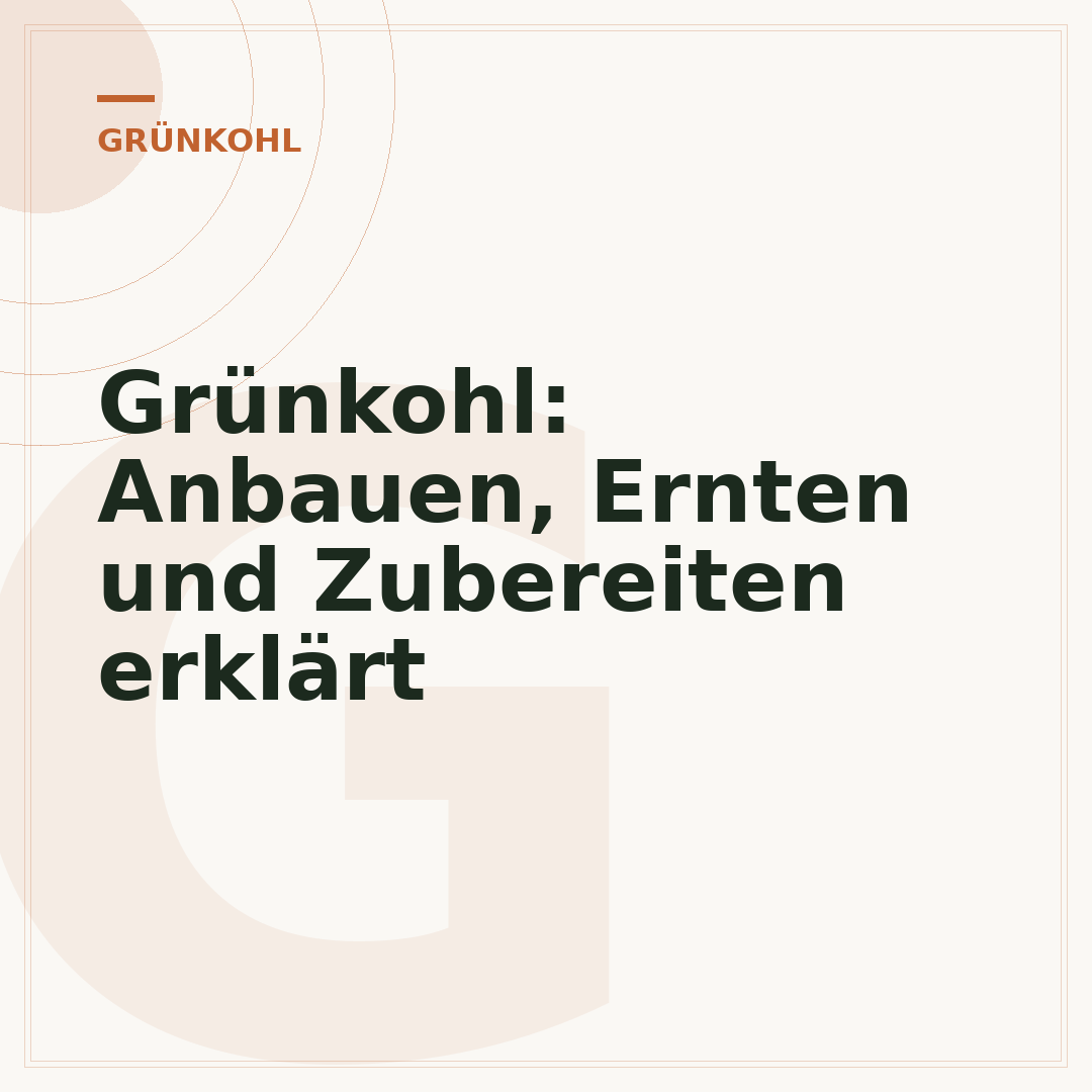Grünkohl: Anbauen, Ernten und Zubereiten erklärt