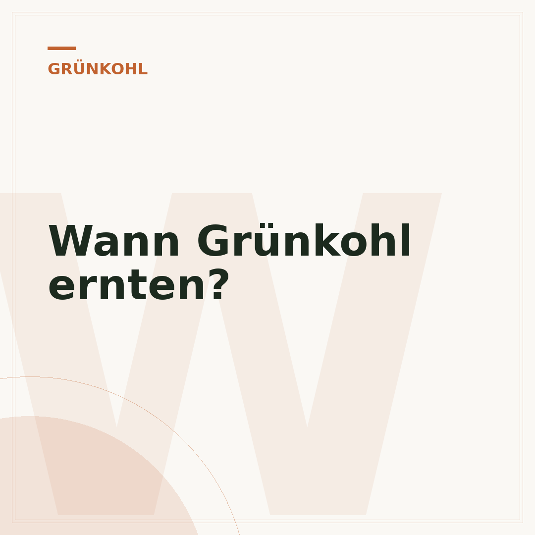 Wann Grünkohl ernten?
