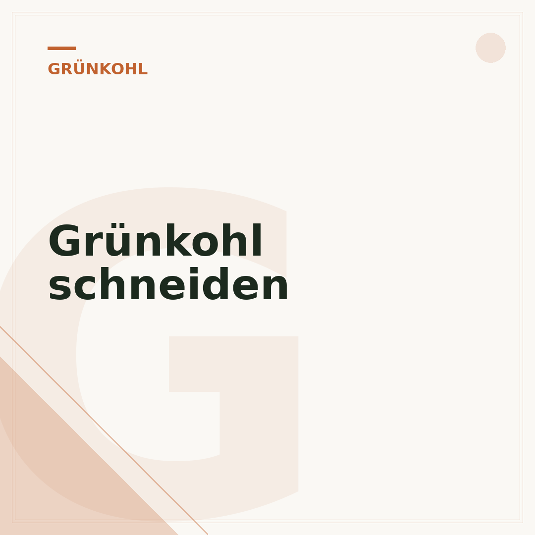 Grünkohl schneiden