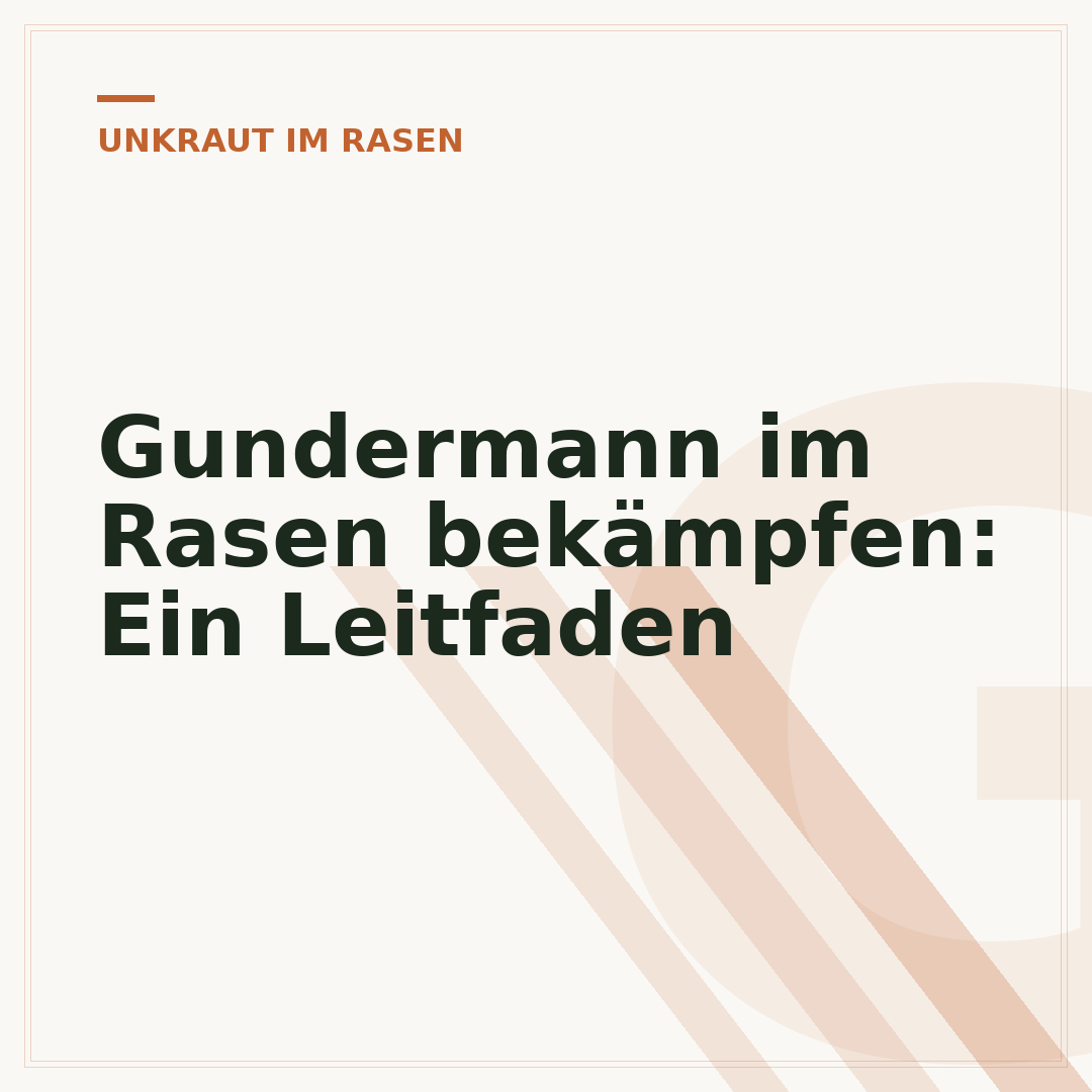 Gundermann im Rasen bekämpfen: Ein Leitfaden