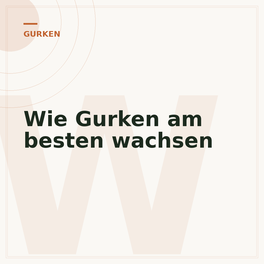 Wie Gurken am besten wachsen