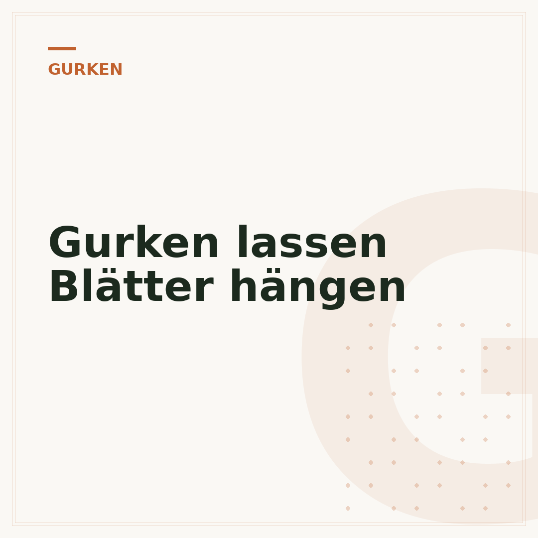 Gurken lassen Blätter hängen