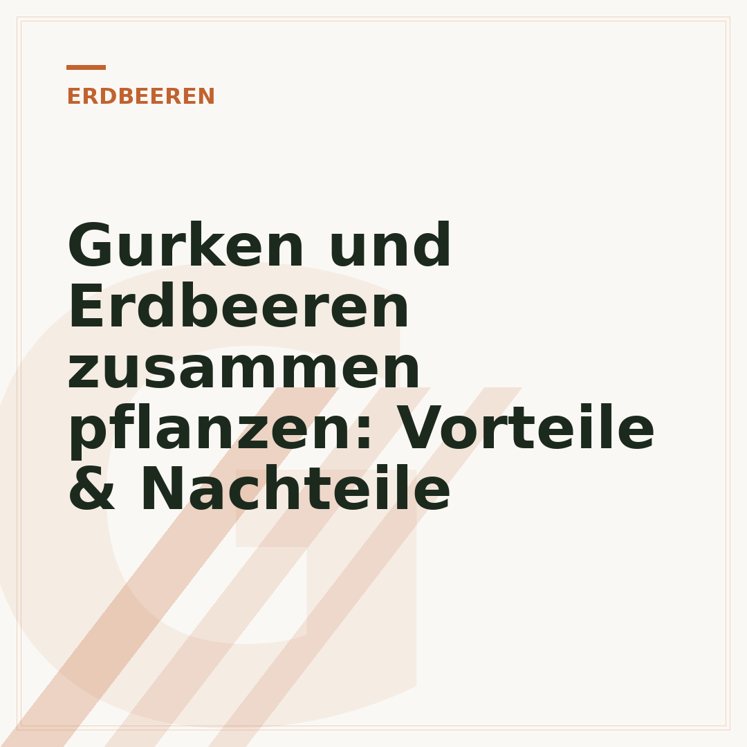 Gurken und Erdbeeren zusammen pflanzen: Vorteile & Nachteile
