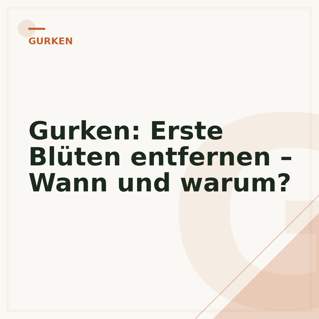 Gurken: Erste Blüten entfernen – Wann und warum?