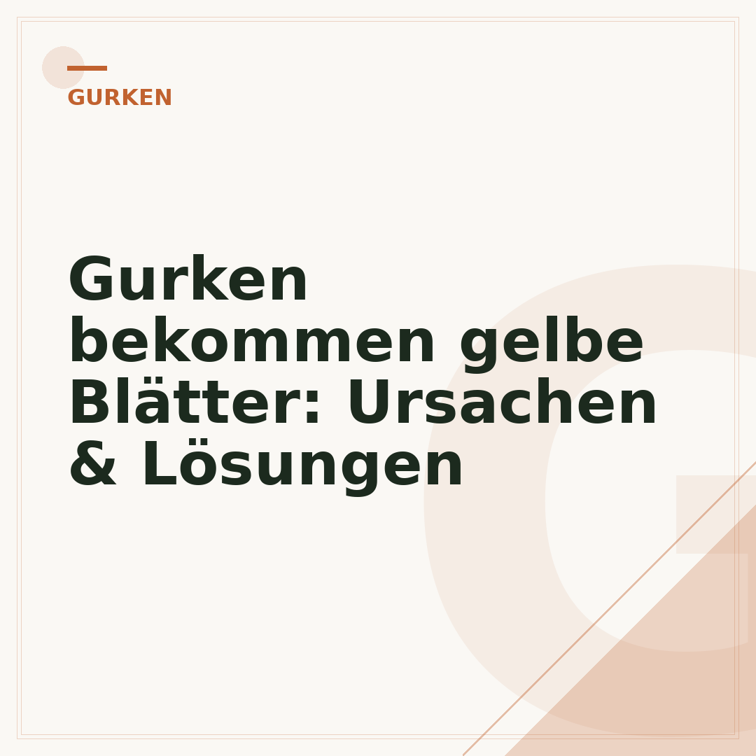 Gurken bekommen gelbe Blätter: Ursachen & Lösungen