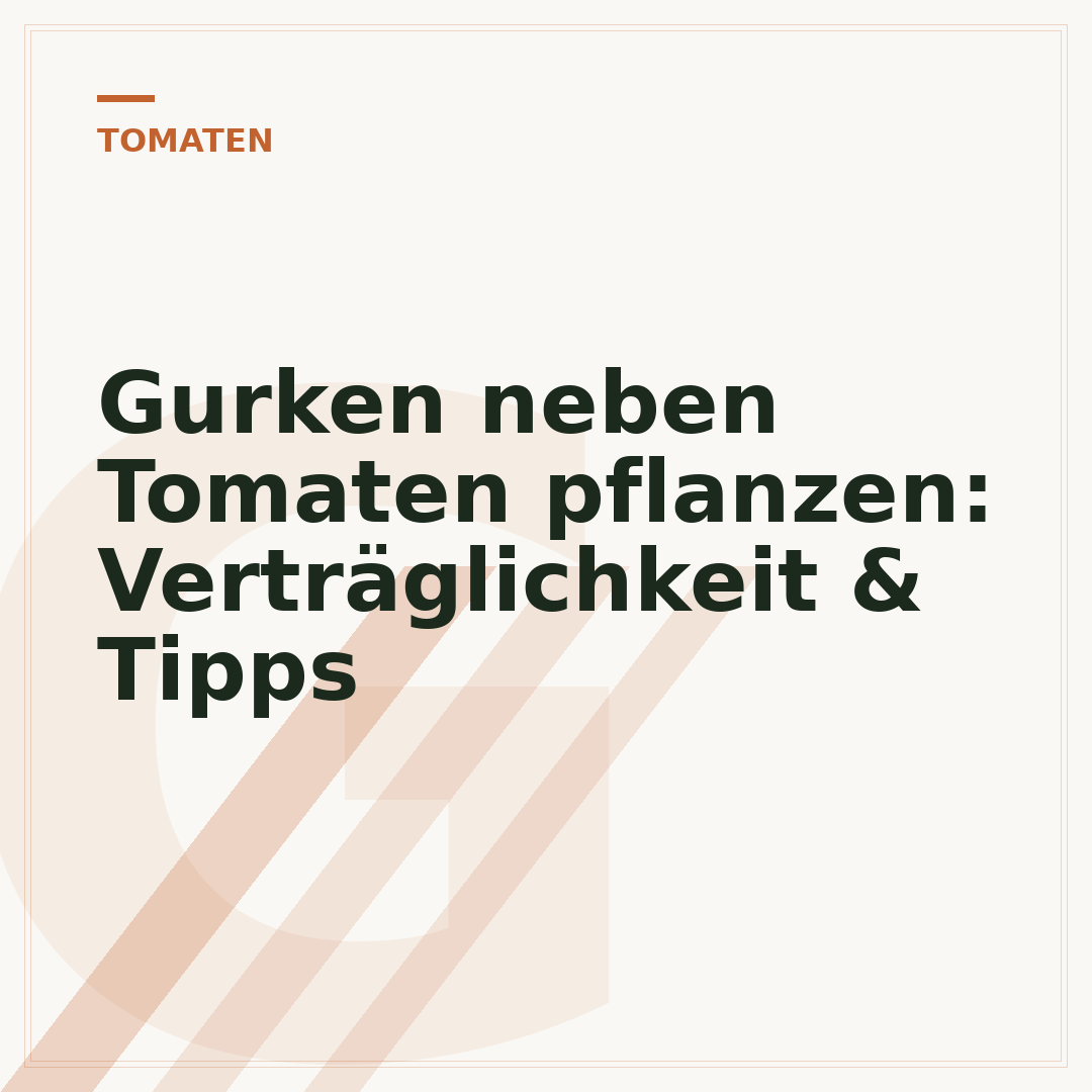 Gurken neben Tomaten pflanzen: Verträglichkeit & Tipps