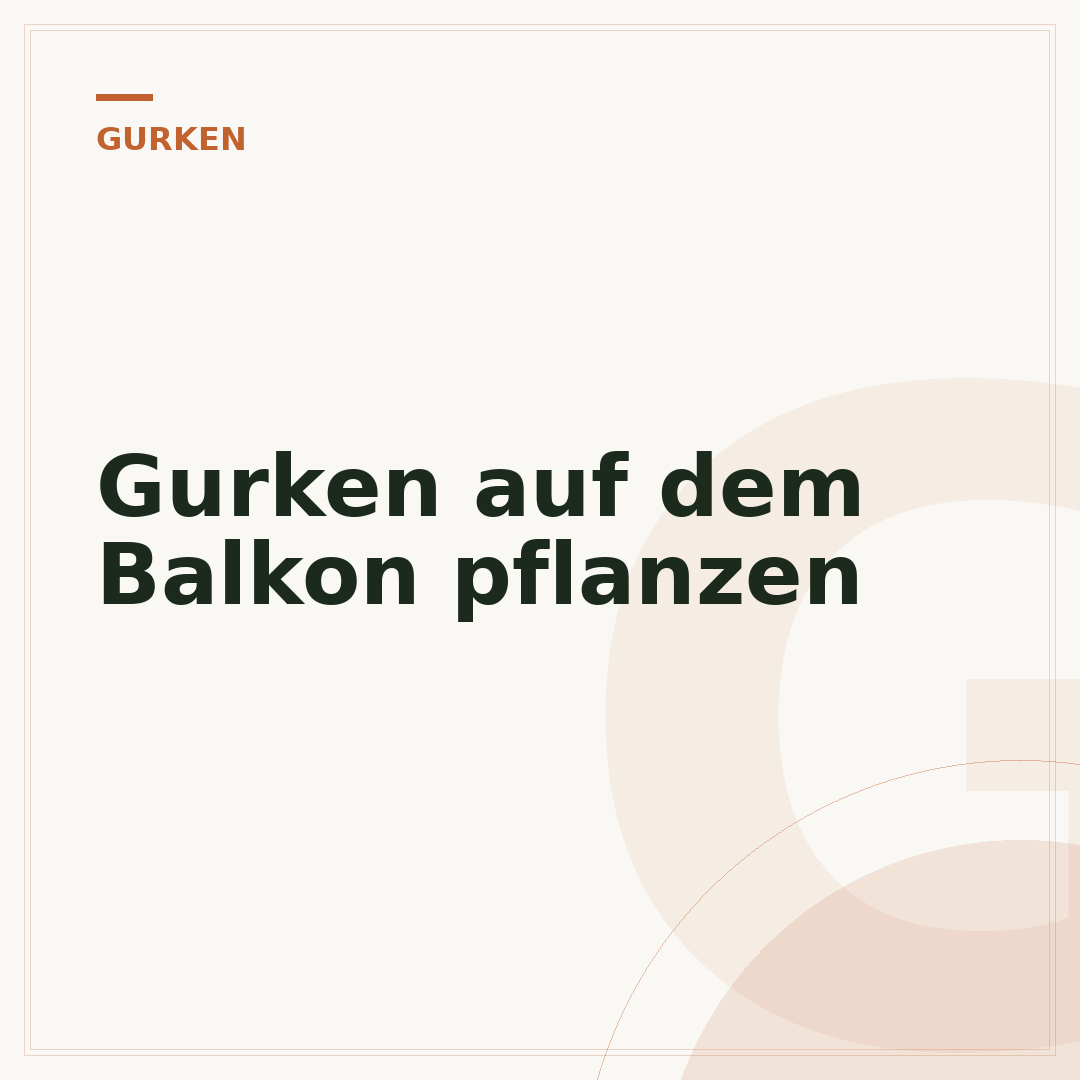 Gurken auf dem Balkon pflanzen