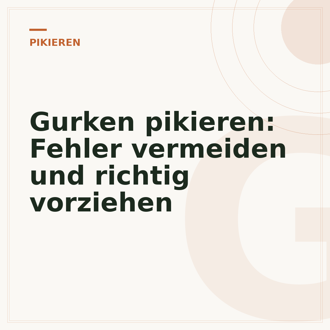 Gurken pikieren: Fehler vermeiden und richtig vorziehen