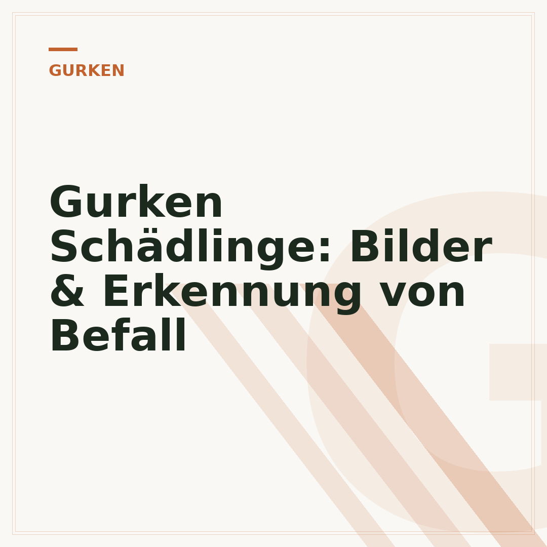 Gurken Schädlinge: Bilder & Erkennung von Befall