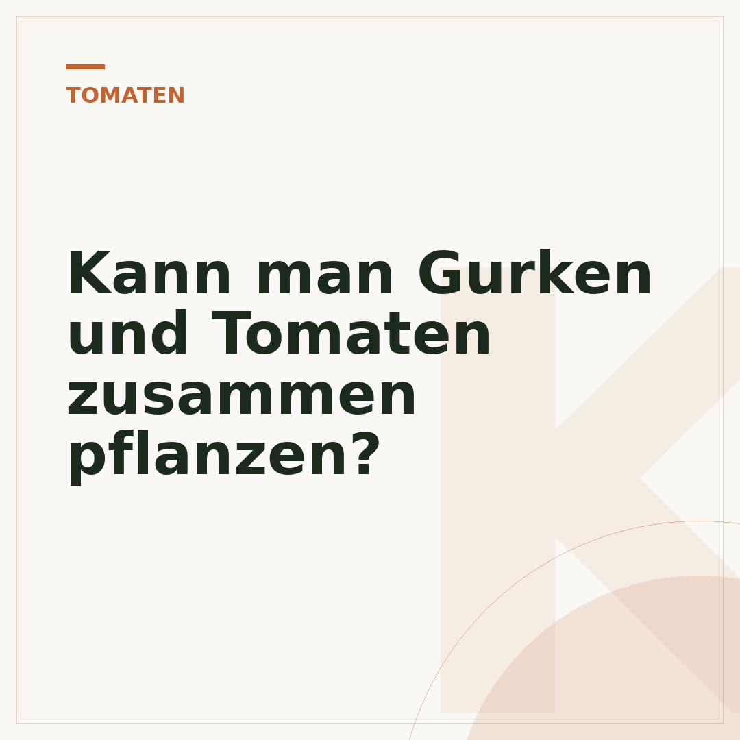 Kann man Gurken und Tomaten zusammen pflanzen?