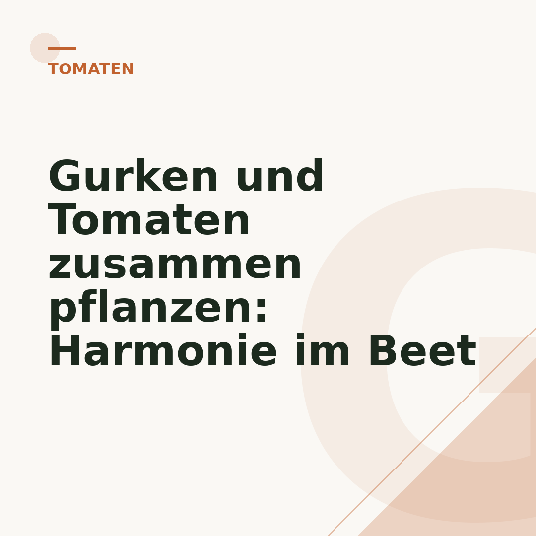 Gurken und Tomaten zusammen pflanzen: Harmonie im Beet