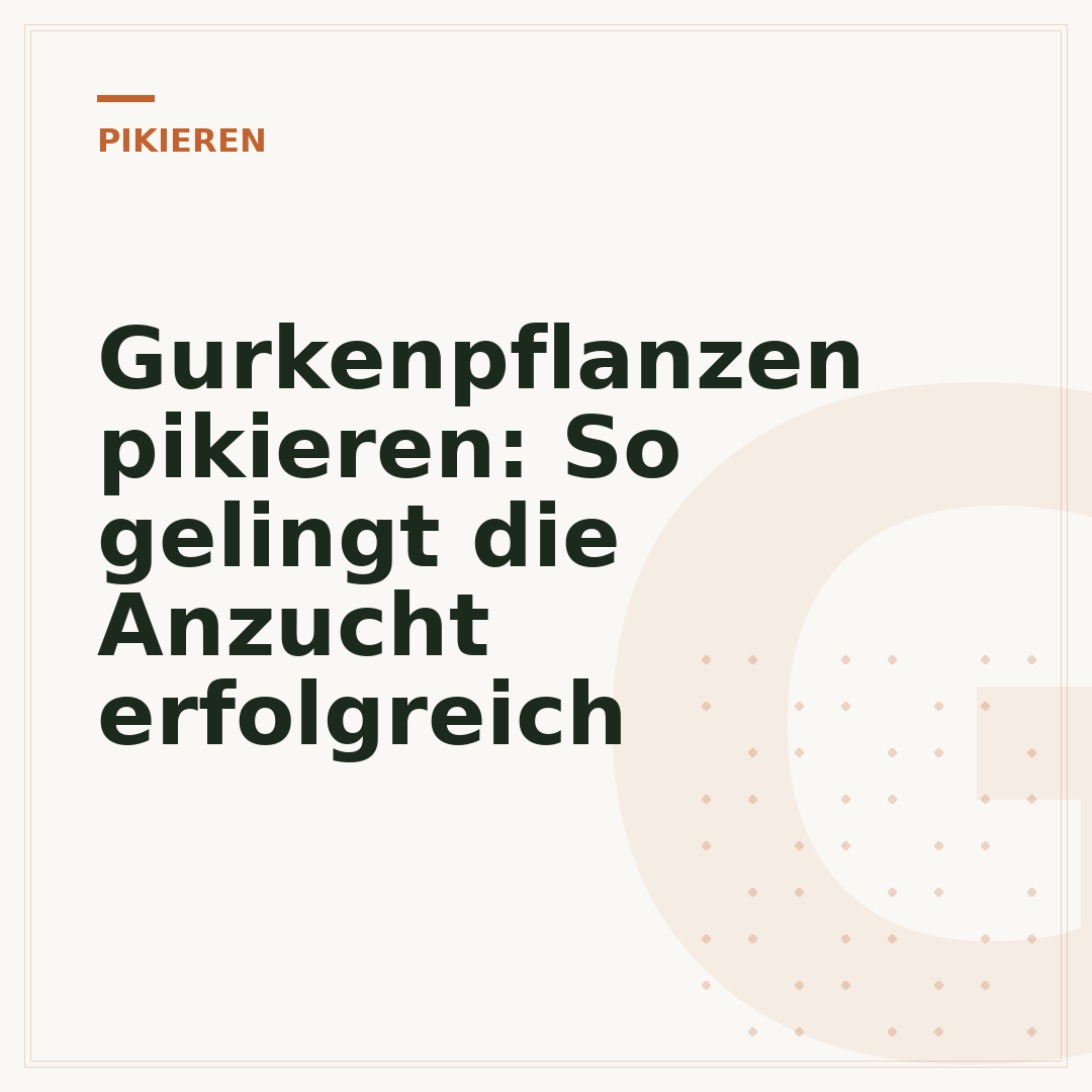 Gurkenpflanzen pikieren: So gelingt die Anzucht erfolgreich