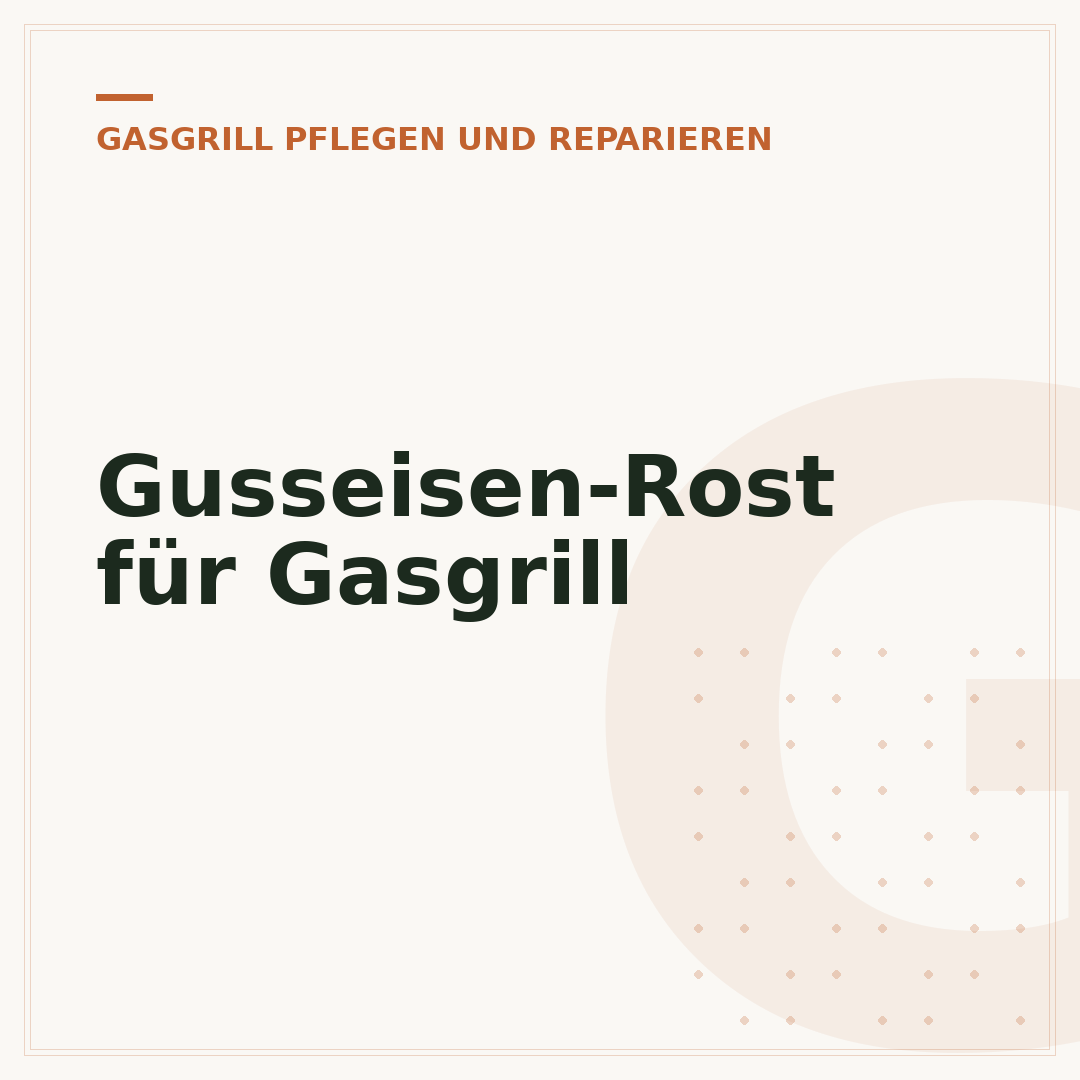 Gusseisen-Rost für Gasgrill