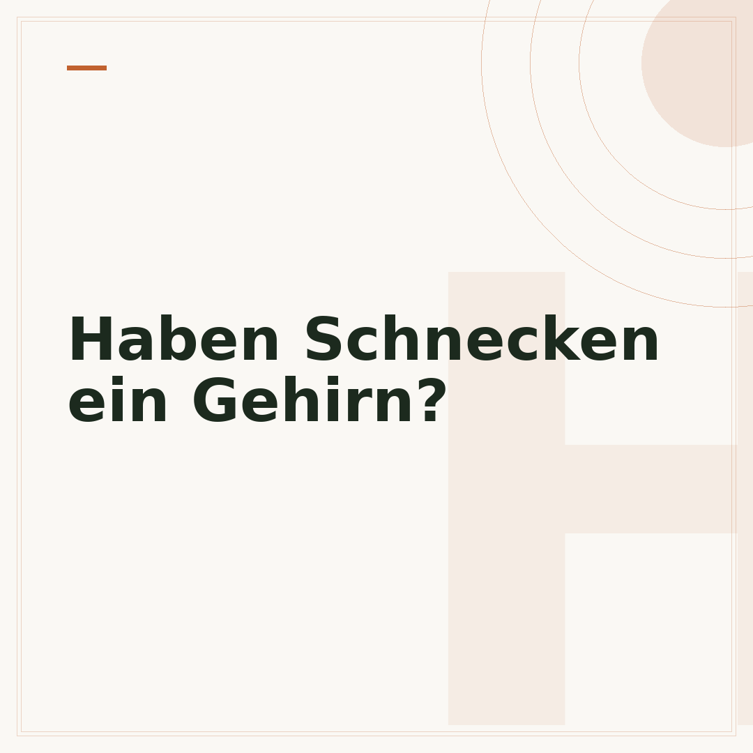 Haben Schnecken ein Gehirn?