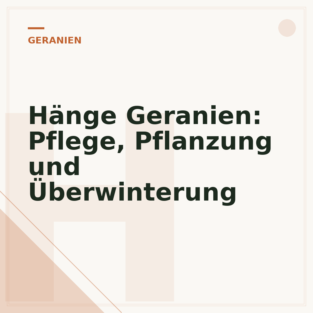 Hänge Geranien: Pflege, Pflanzung und Überwinterung