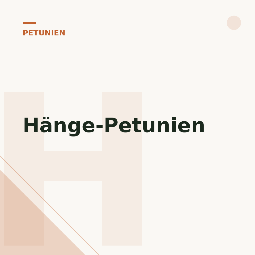 Hänge-Petunien