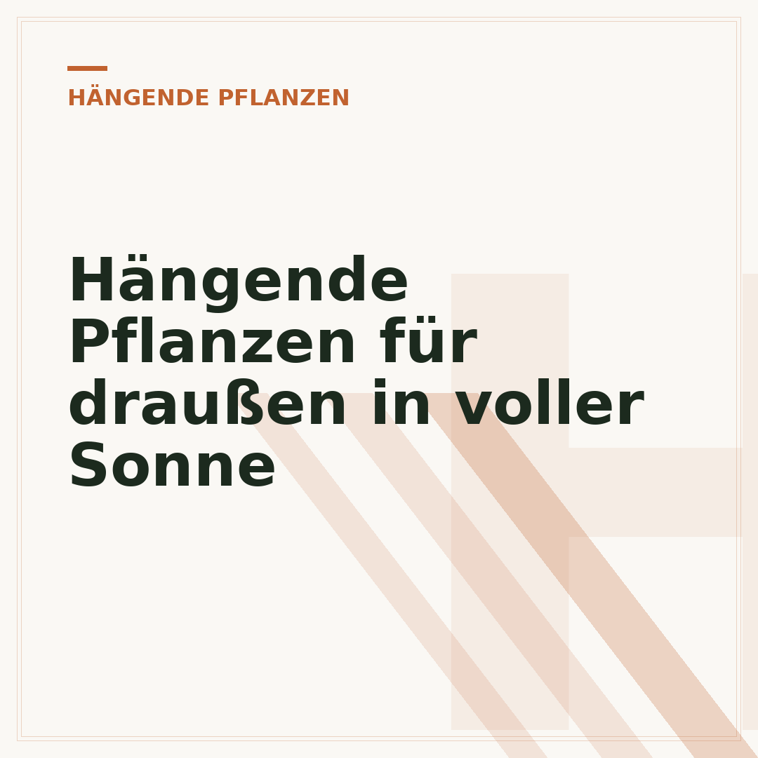 Hängende Pflanzen für draußen in voller Sonne