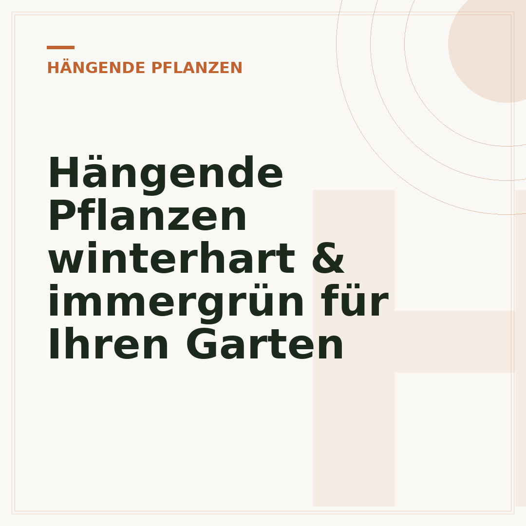 Hängende Pflanzen winterhart & immergrün für Ihren Garten