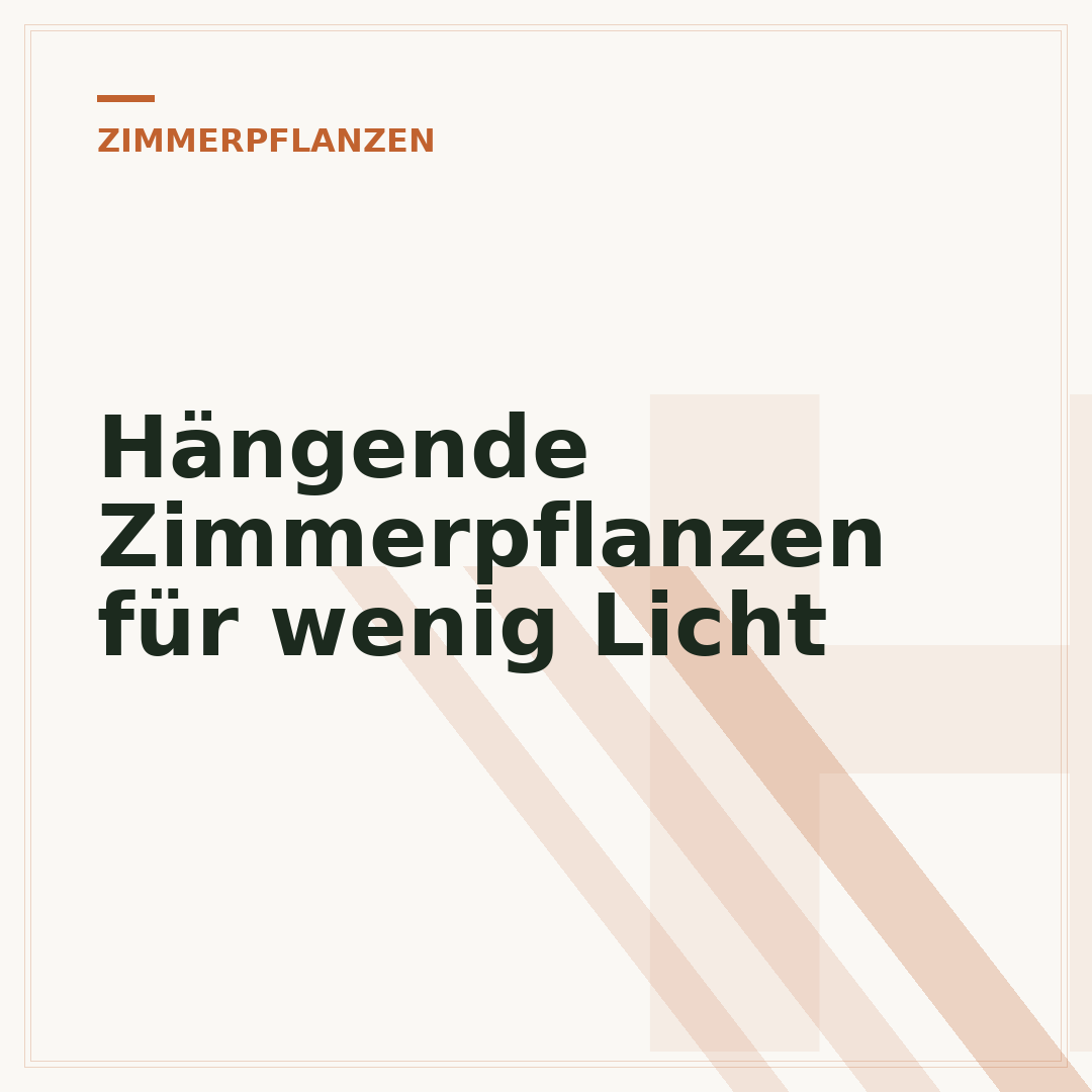 Hängende Zimmerpflanzen für wenig Licht