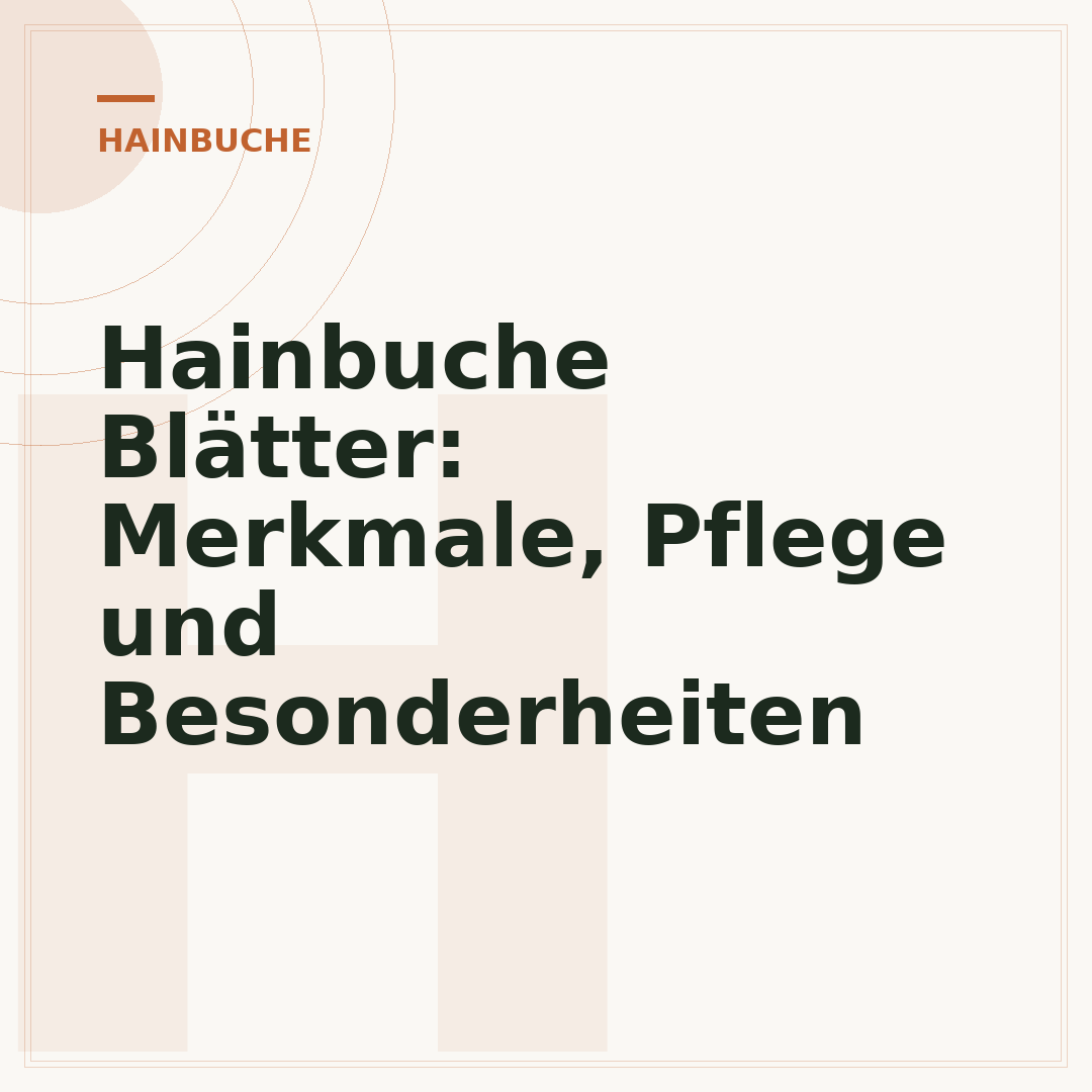 Hainbuche Blätter: Merkmale, Pflege und Besonderheiten
