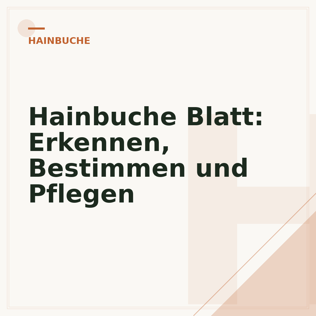 Hainbuche Blatt: Erkennen, Bestimmen und Pflegen