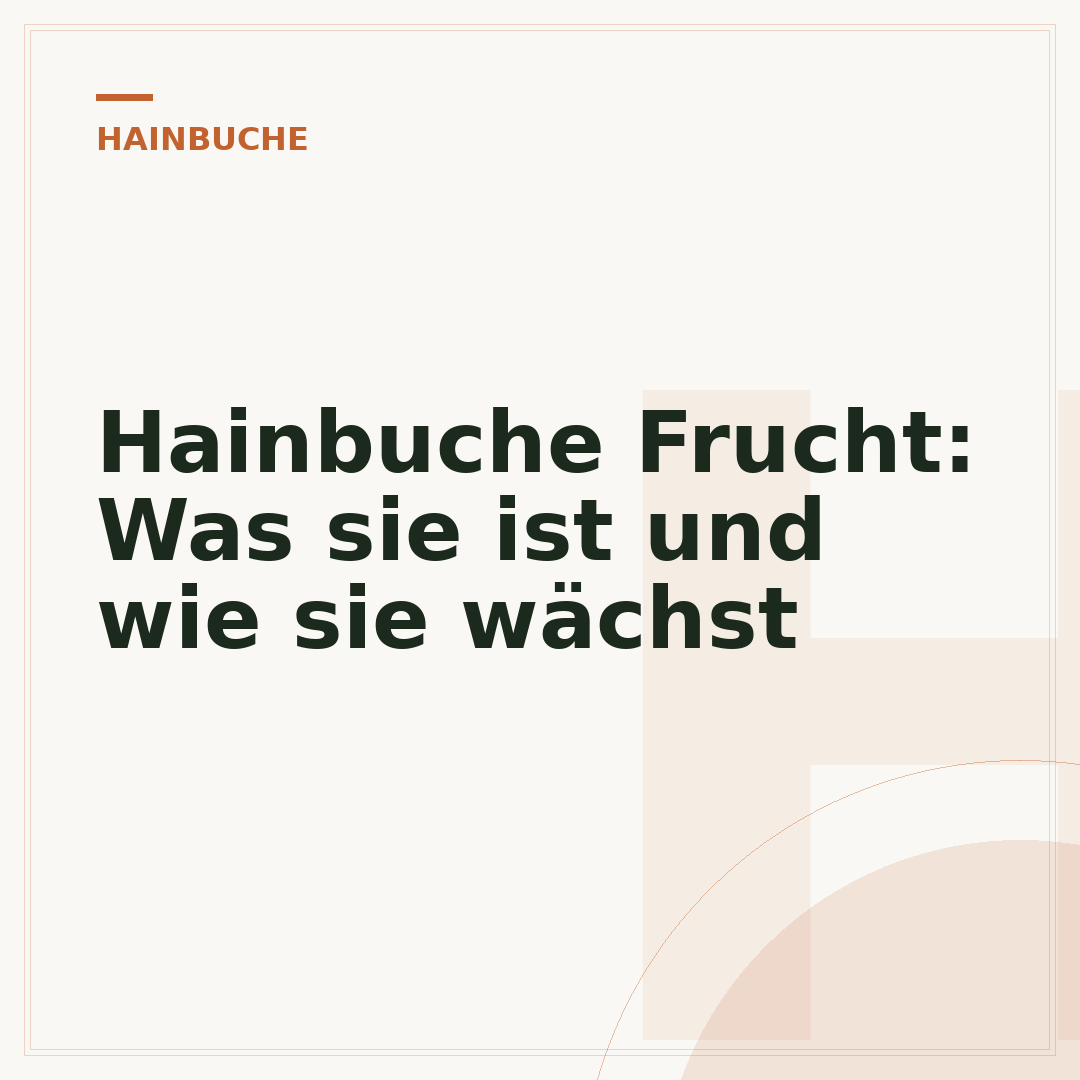 Hainbuche Frucht: Was sie ist und wie sie wächst