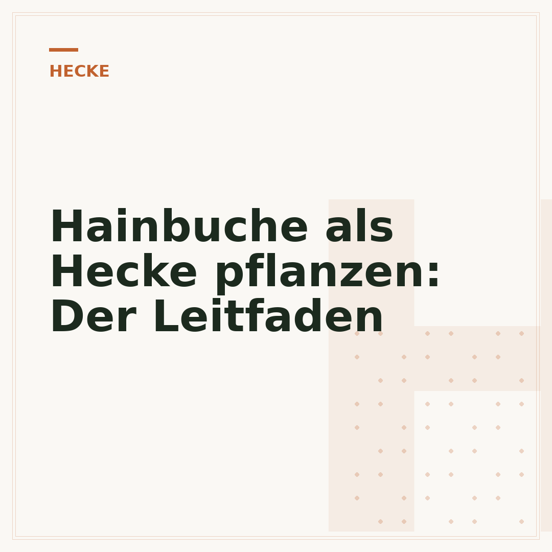 Hainbuche als Hecke pflanzen: Der Leitfaden