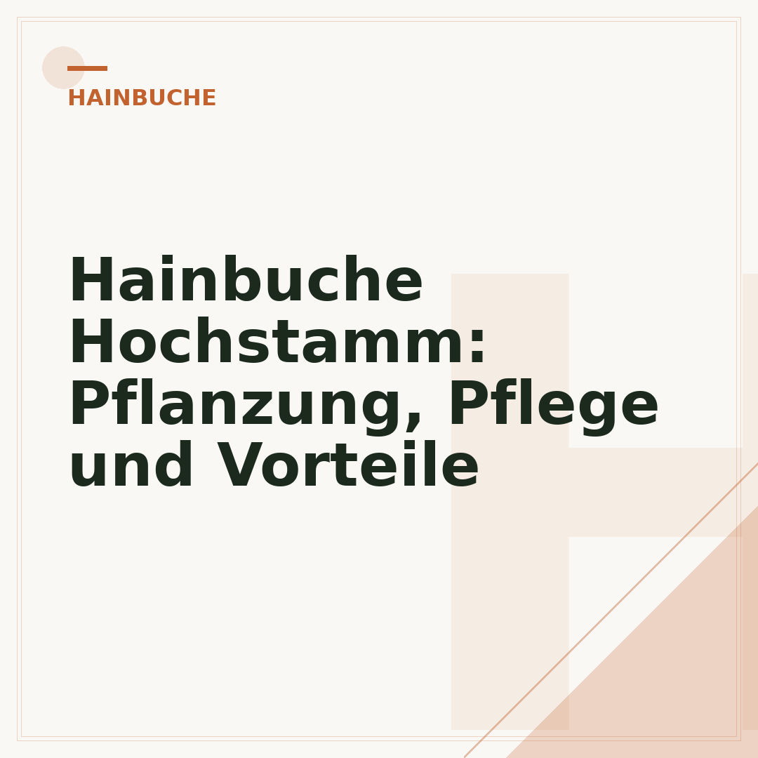 Hainbuche Hochstamm: Pflanzung, Pflege und Vorteile