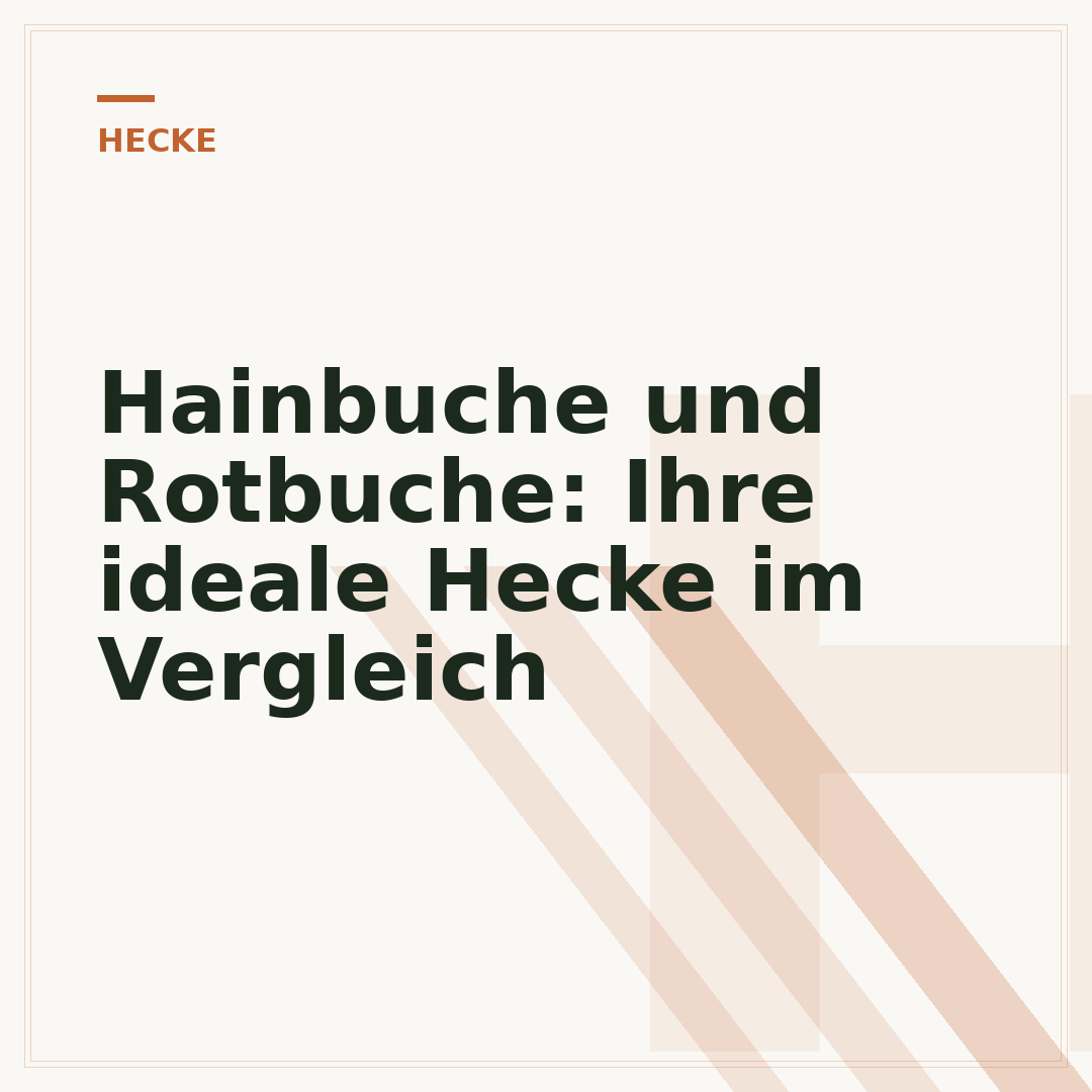 Hainbuche und Rotbuche: Ihre ideale Hecke im Vergleich