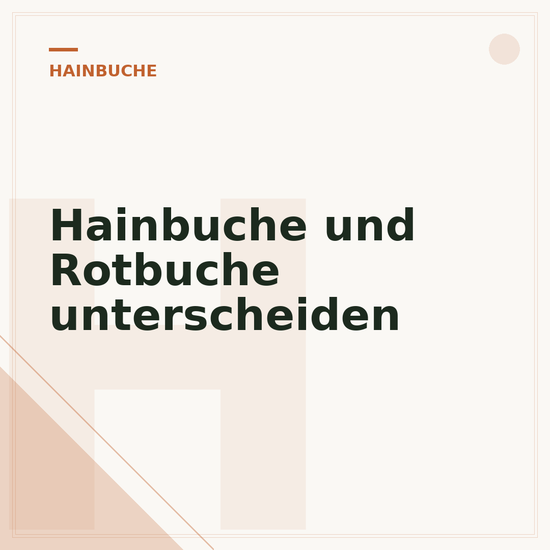 Hainbuche und Rotbuche unterscheiden