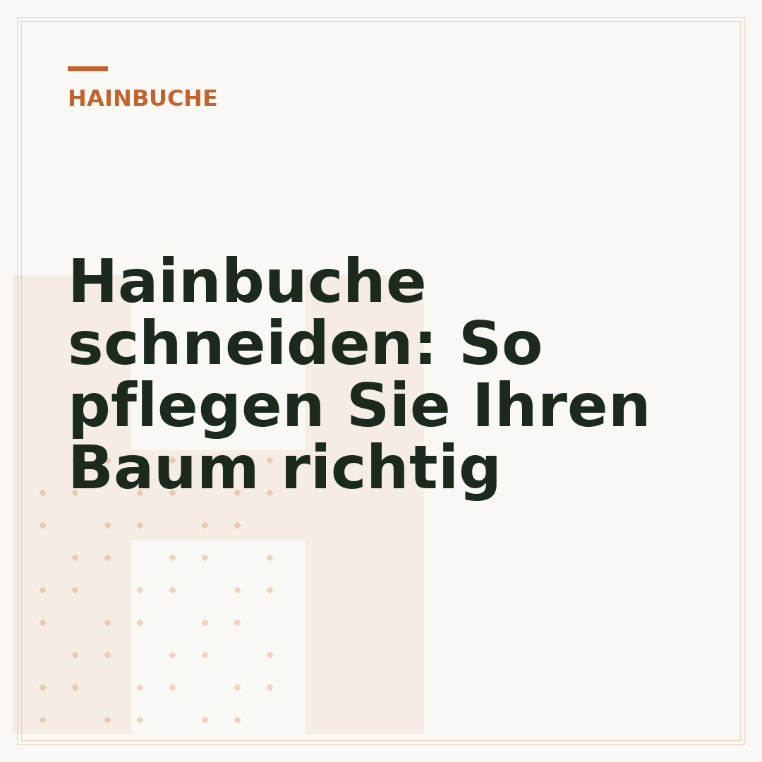 Hainbuche schneiden: So pflegen Sie Ihren Baum richtig