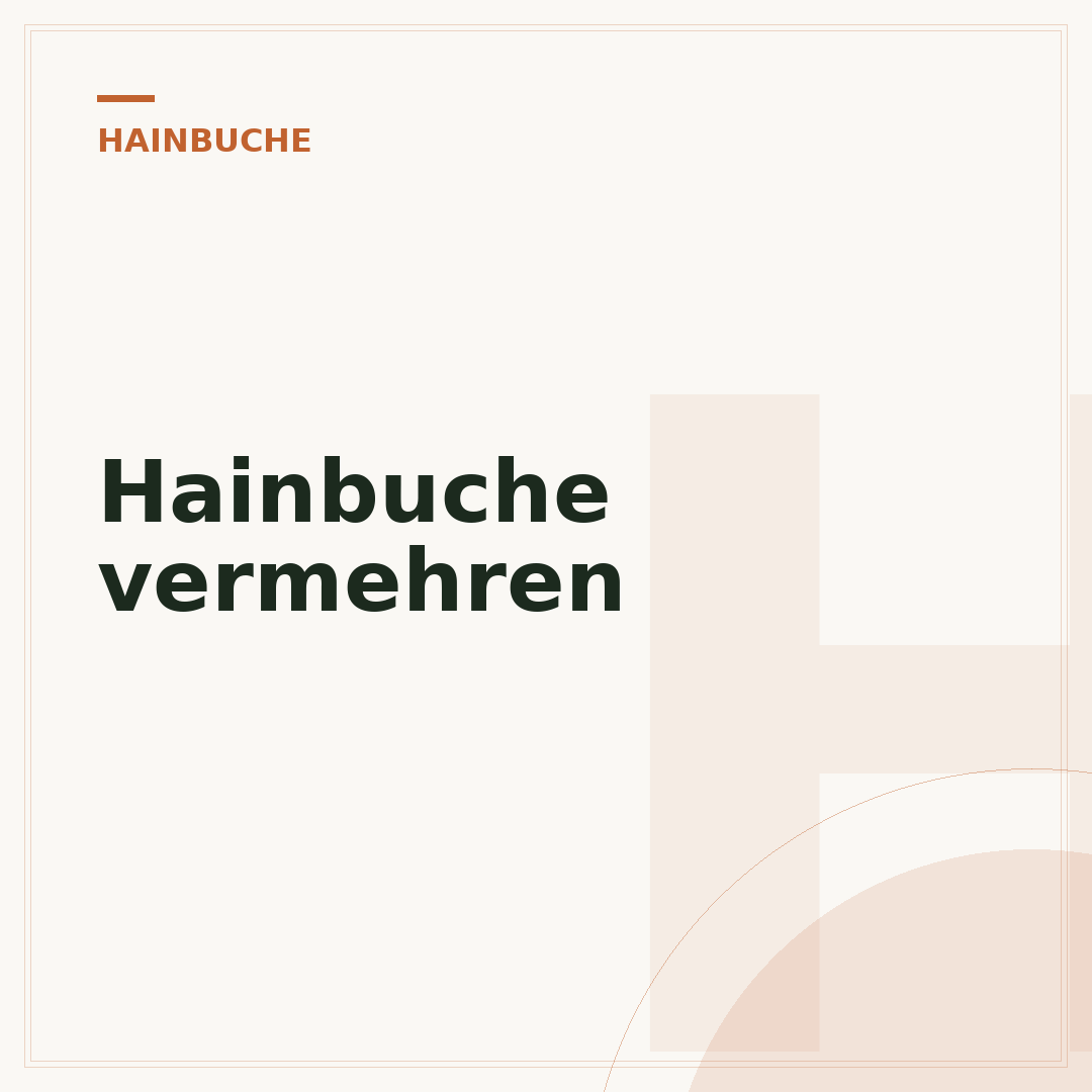 Hainbuche vermehren