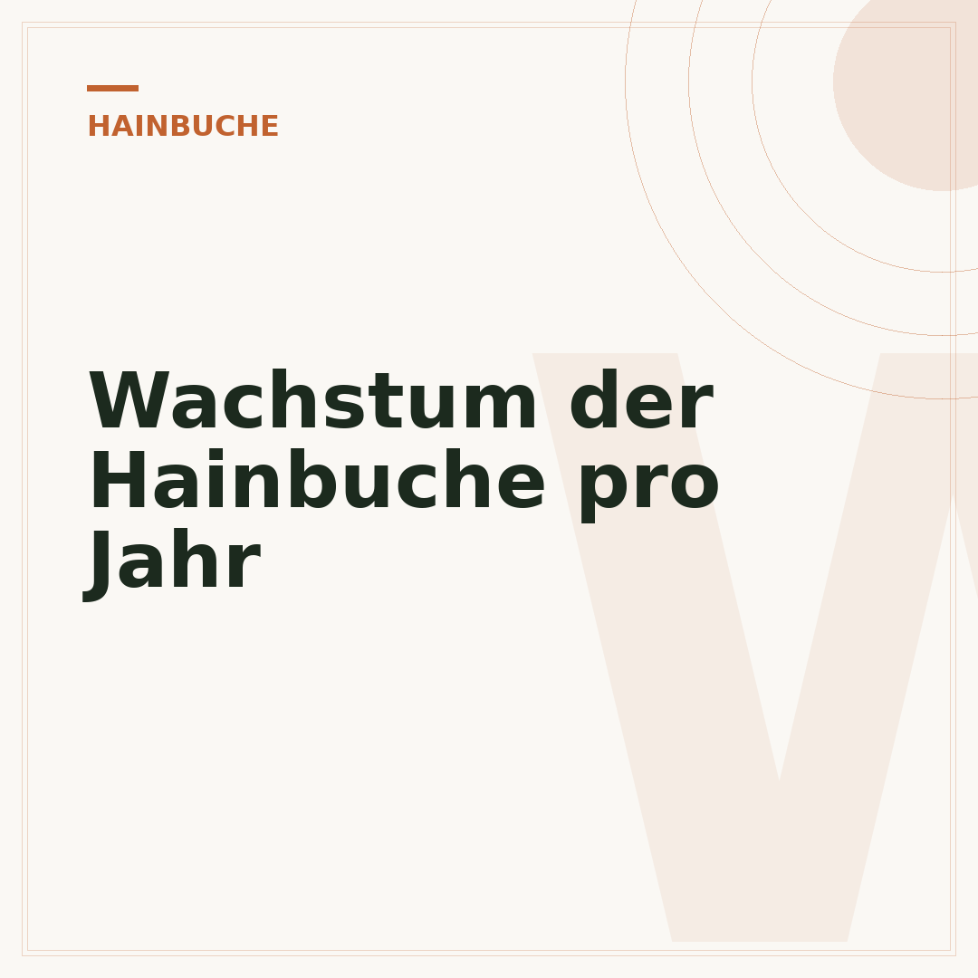 Wachstum der Hainbuche pro Jahr