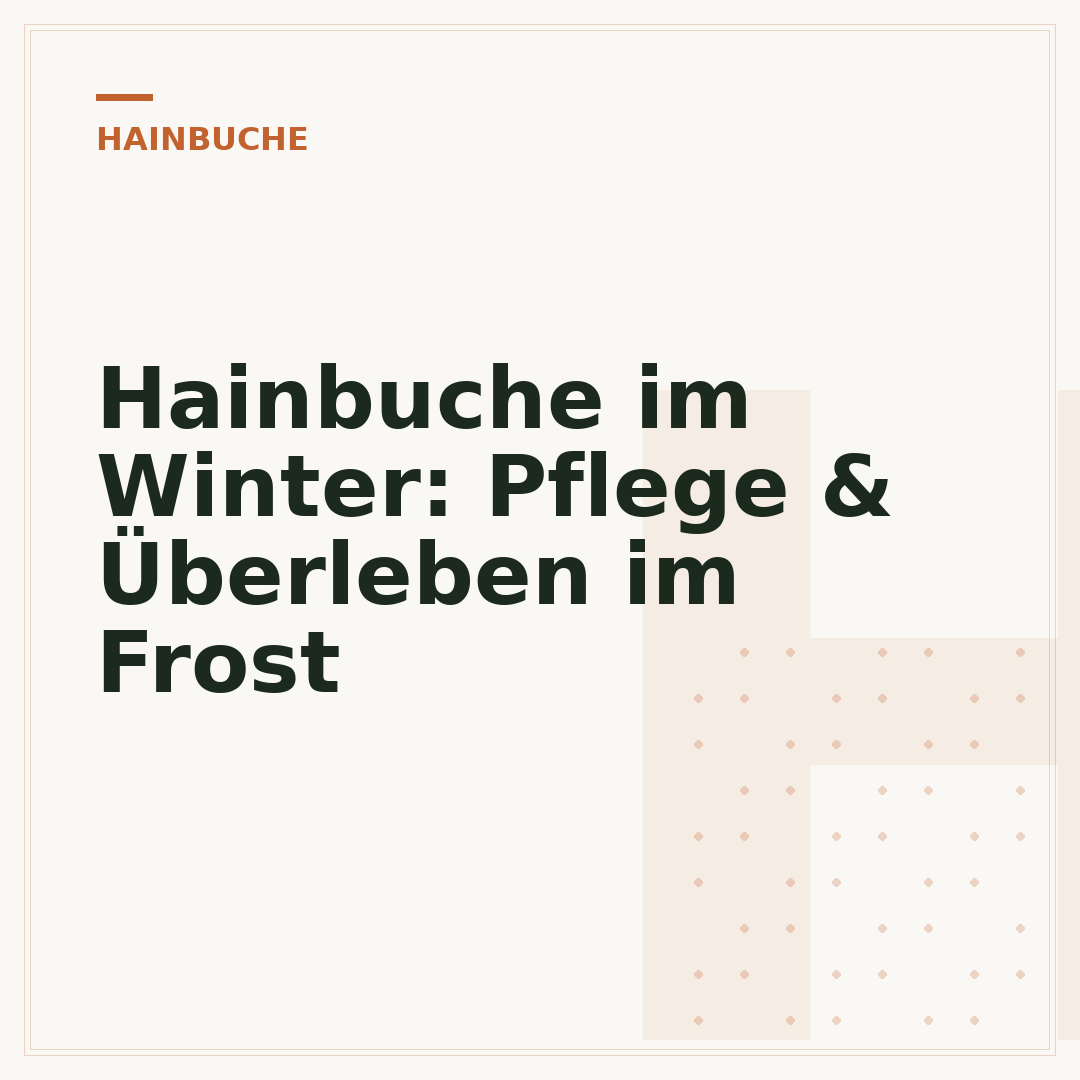 Hainbuche im Winter: Pflege & Überleben im Frost