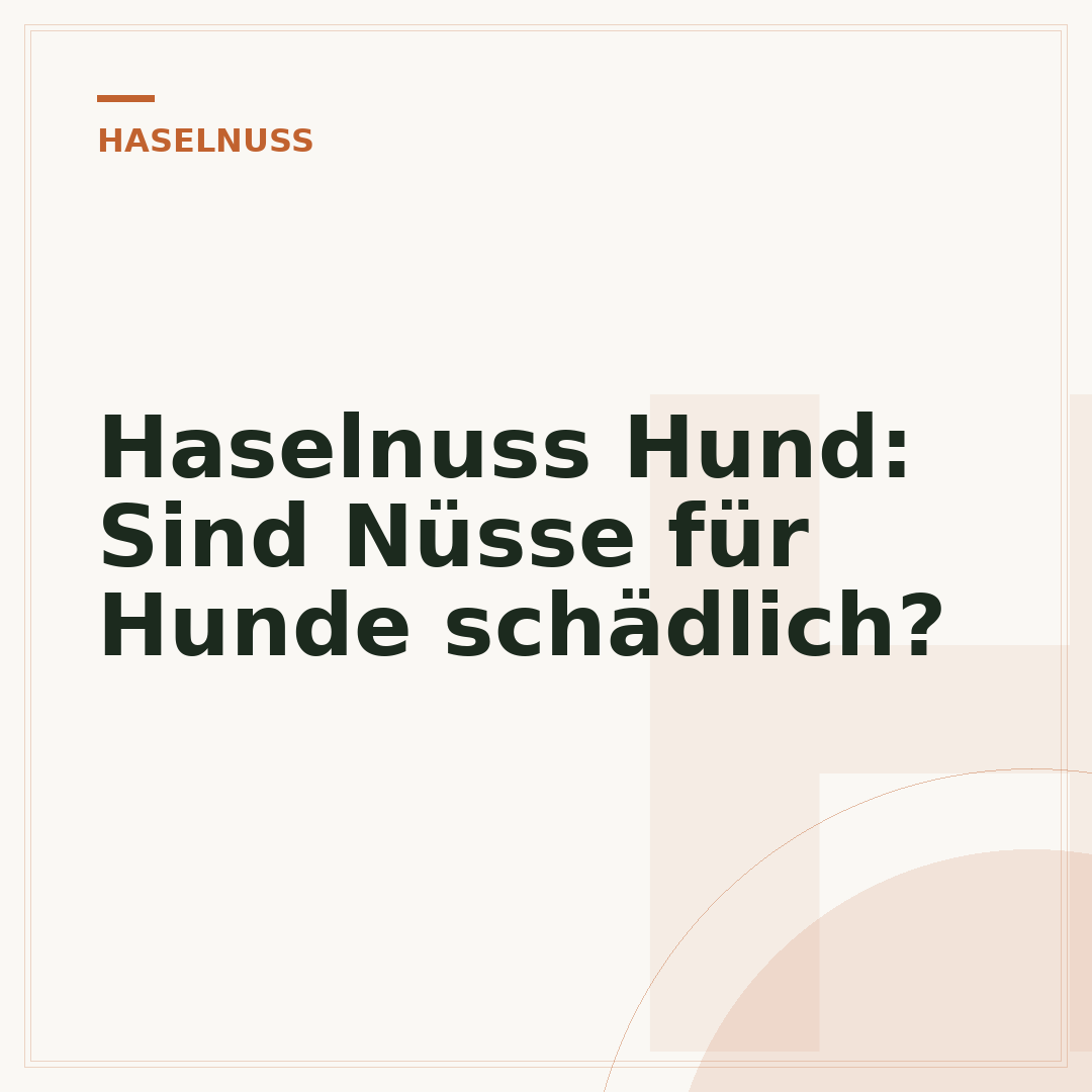 Haselnuss Hund: Sind Nüsse für Hunde schädlich?