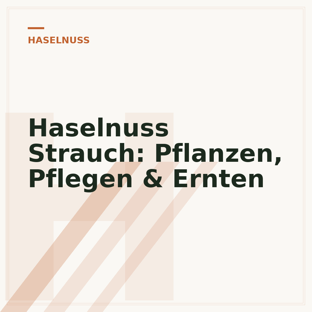 Haselnuss Strauch: Pflanzen, Pflegen & Ernten