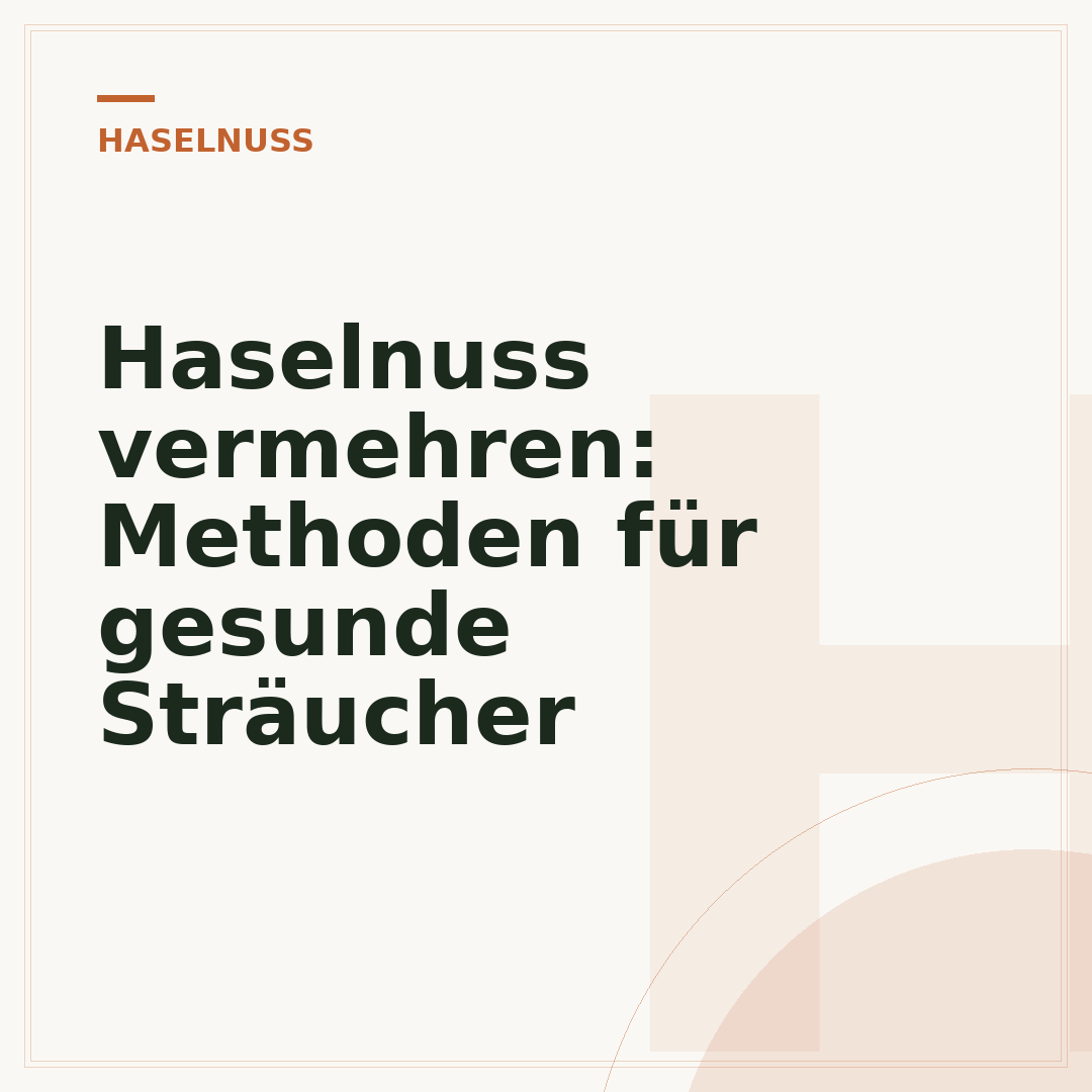 Haselnuss vermehren: Methoden für gesunde Sträucher