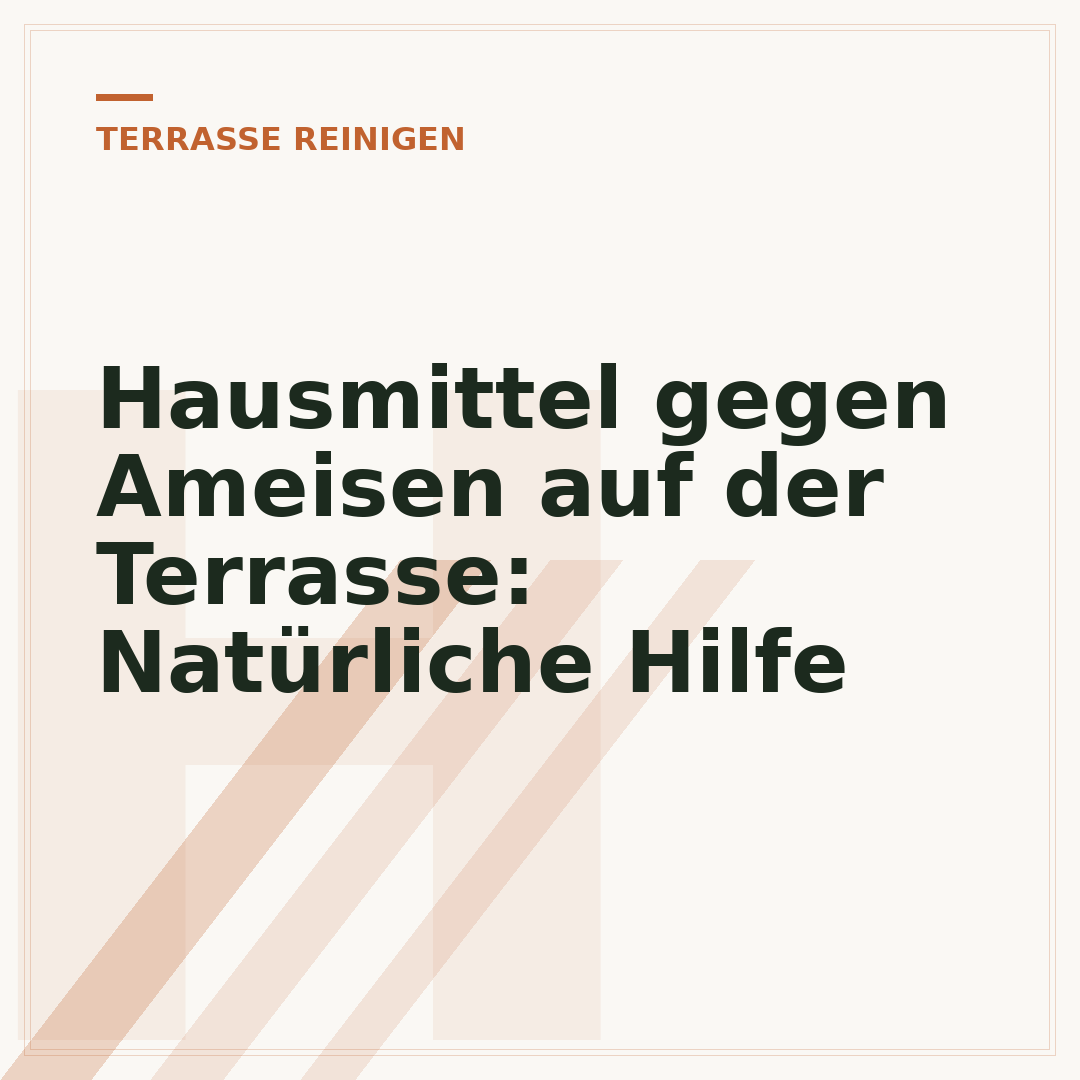 Hausmittel gegen Ameisen auf der Terrasse: Natürliche Hilfe