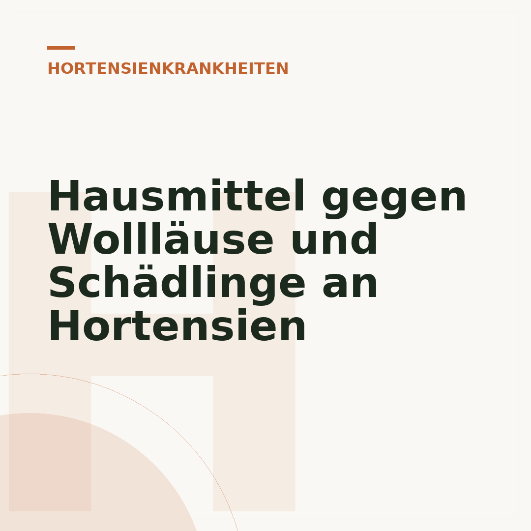 Hausmittel gegen Wollläuse und Schädlinge an Hortensien