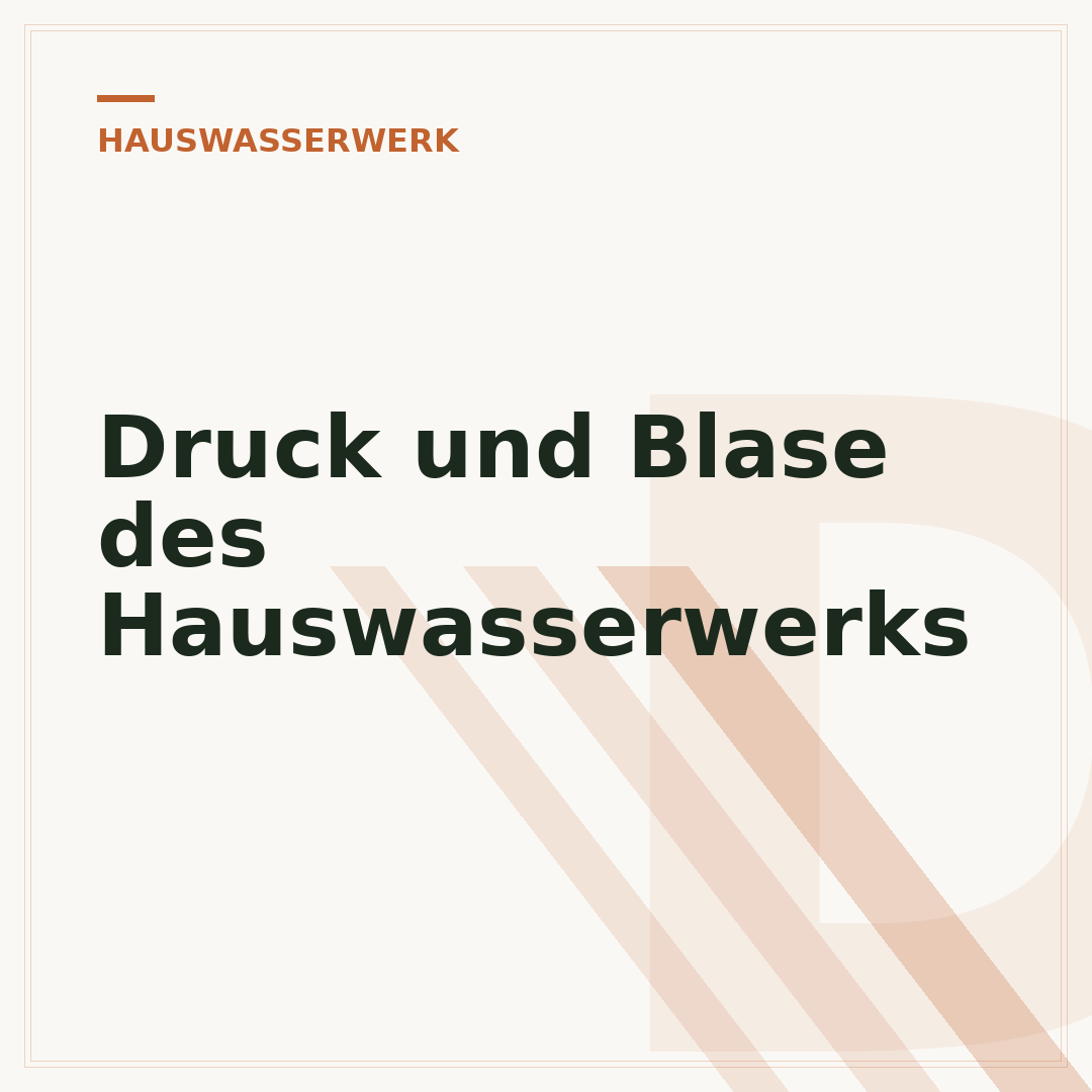 Druck und Blase des Hauswasserwerks