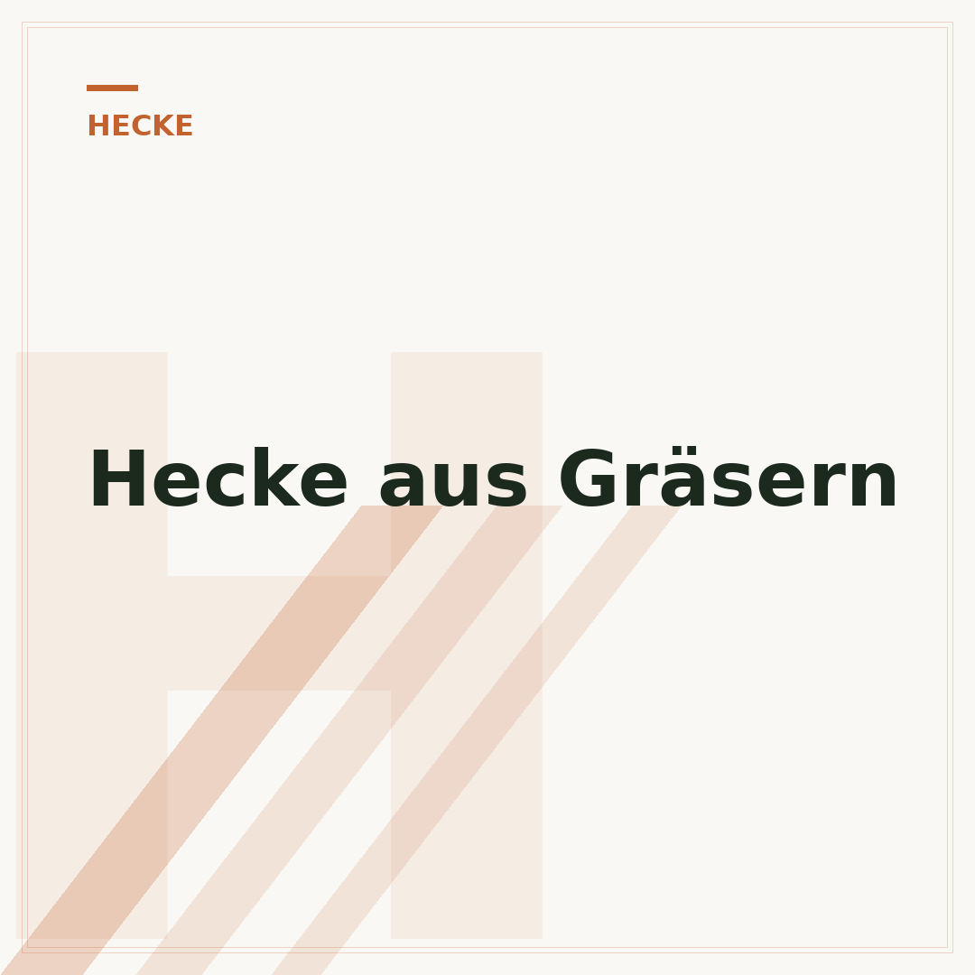 Hecke aus Gräsern