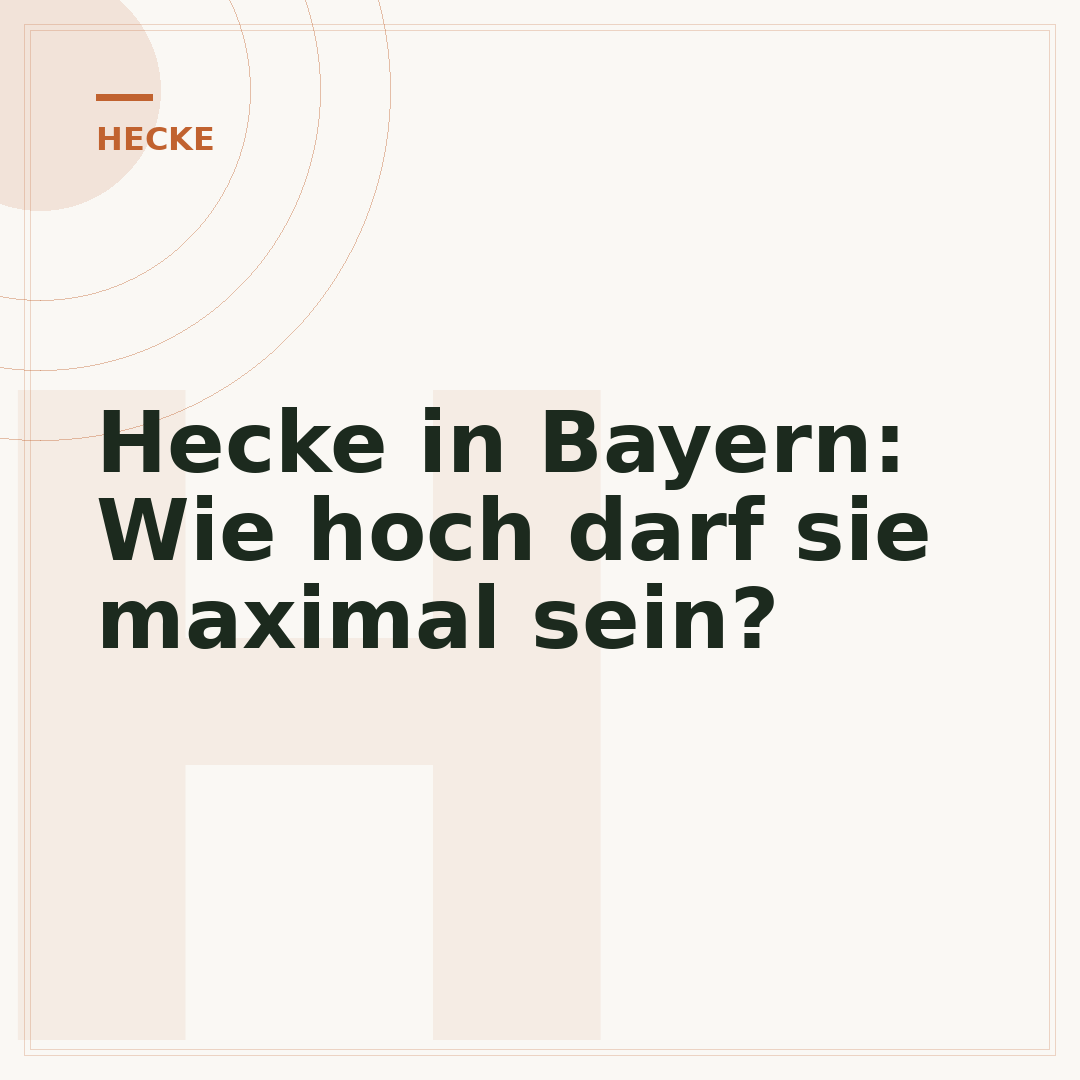 Hecke in Bayern: Wie hoch darf sie maximal sein?